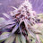 @deeb4204