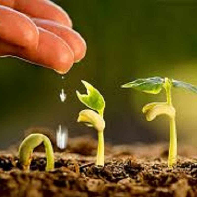 NEPAL AGRICULTURE