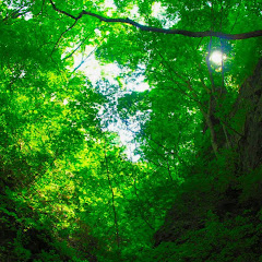 怖い話まとめ化物や謎の生物アイコン画像