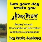 Dog Brain Academy