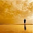 @yuranorange Avatar