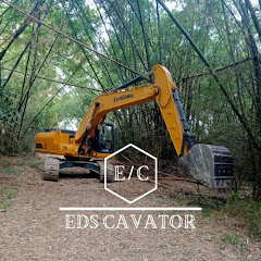 EDS CAVATOR