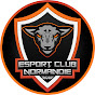 Esport Club Normandie