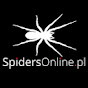 SpidersOnlinePL
