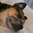 @PaulClay46WV's avatar