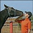 vEvGcIVoHW4-channel-avatar-miramishorse