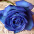 10qa0MXD6oY-channel-avatar-Kashif Minhas