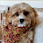 @noahbollinger2828's avatar