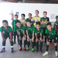 América Mineiro em Manaus LEÃO DO NORTE profile image