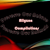 Allyzon Compilations