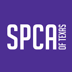 Spca Of Texas