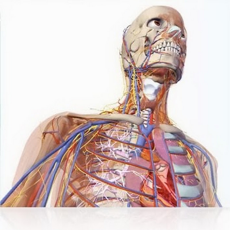 Savoir plus sur la médecine