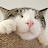 @bordeauxcat779