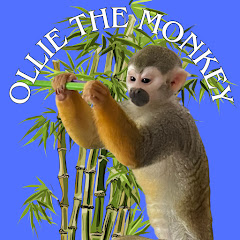 Ollie The Monkey Avatar