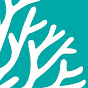 KORAL Studio logo