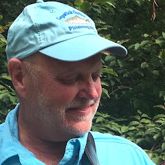 Real Bass Lessonsアイコン画像