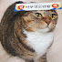 GfFHmNq-ITI-channel-avatar-안할래아무것도