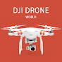 Логотип каналу DJI Drone World