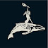 xiNNYVkuFrU-channel-avatar-Whalesplaining