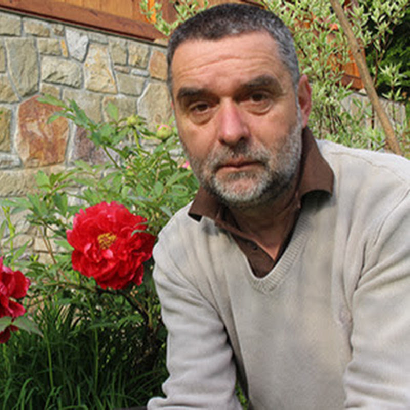 Cvetni pozdrav