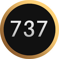 max737Ifly net worth