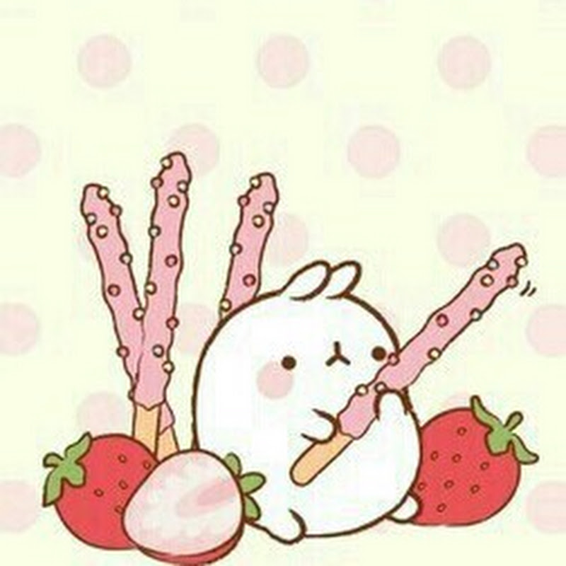귀여운고양이