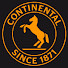 ol8FhAn1jRA-channel-avatar-Continental Bicycle Tires