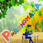 PARONOMASIA logo