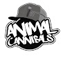 Animal Cannibals