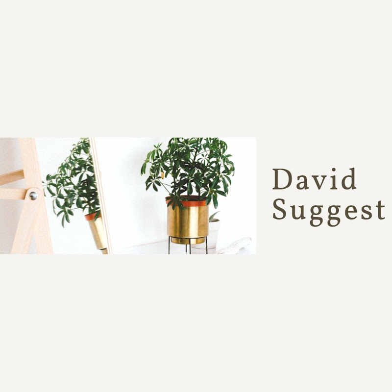 David Suggest