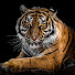 uczCU_qbIn4-channel-avatar-Suomi80 Finnish