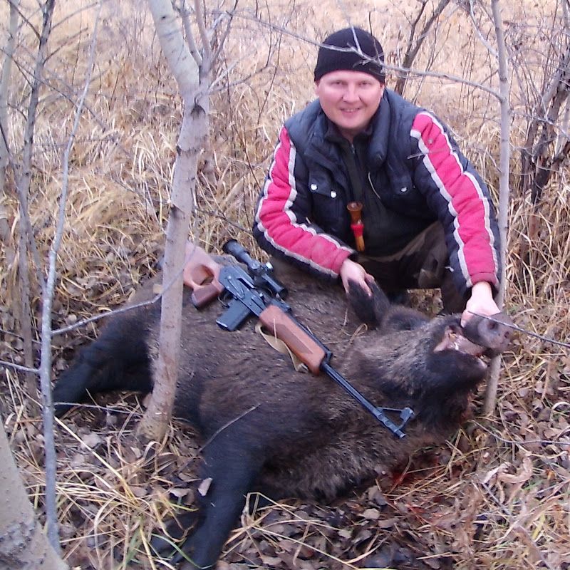 Сибирский Странник Лайф Logo