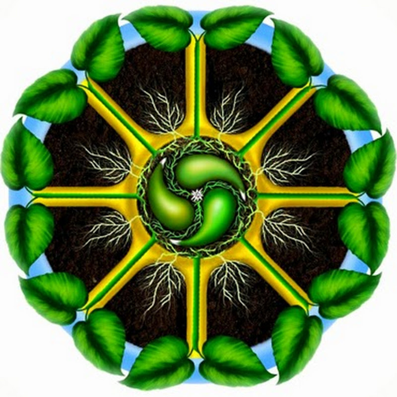 Living Web Farms Logo