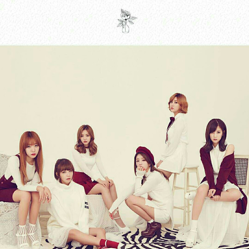 Panda Apink Vietnam