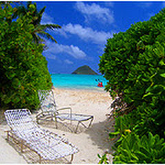 Hawaii Island-Styleアイコン画像