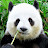 @gulunctv2877