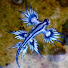 hnfQIRCz-iw-channel-avatar-Thorite Gem
