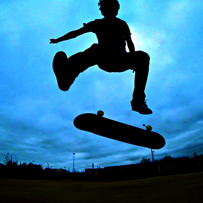 Braille Skateboarding Net Worth & Earnings (2025)