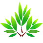 Bravisa Temple Tree logo