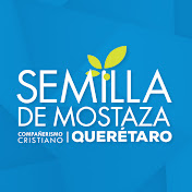 Semilla de mostaza Querétaro