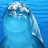 @Glidingwithdolphins