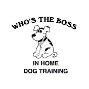 Whos The Boss Dog Training