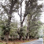 migueljorqueraviguera2516