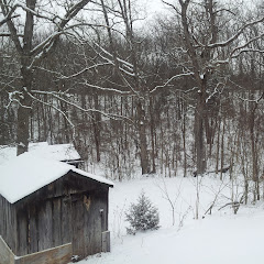 Little House Off Grid Avatar