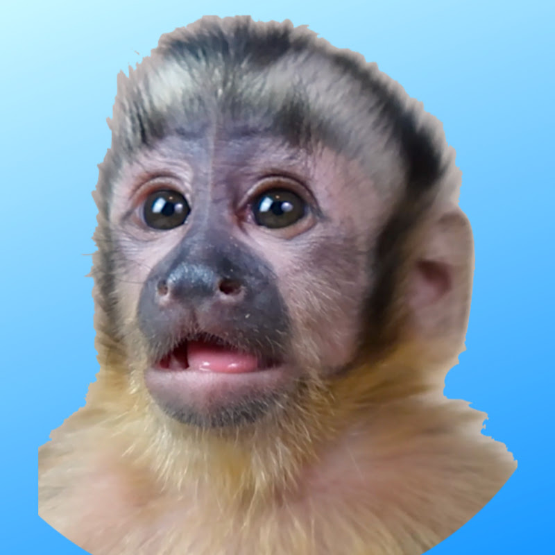 MonkeyHappy