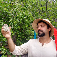 Francisco Vera Paz