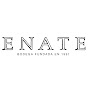 Bodega Enate logo
