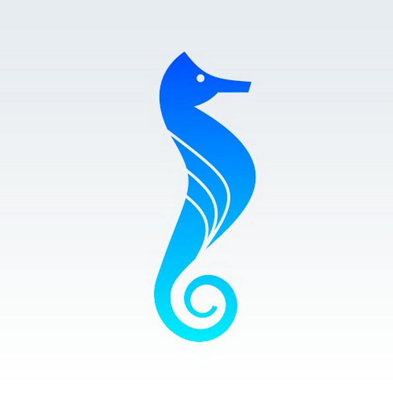 Playocean logo