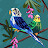 @user-op8cu9jg9j