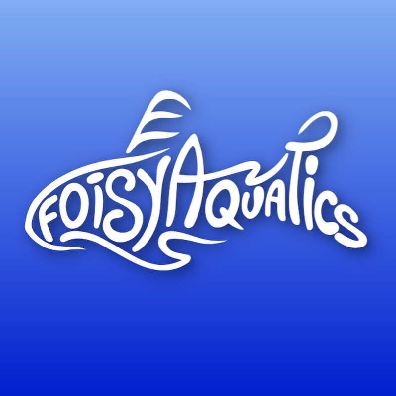 Foisy Aquatics